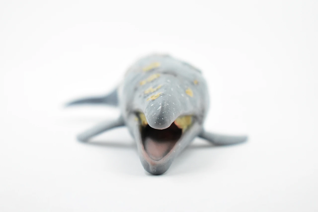 Grey Whale, Marine Mammal, Museum Quality, Hand Painted, Educational, Rubber Animal, Realistic, Diorama Model, Toy Figure, Kids, 9 Inches.