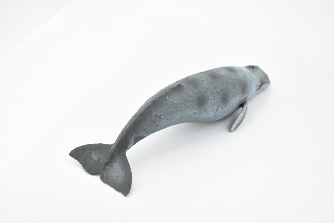 Whale, Grey Whale, Museum Quality, Hand Painted, Rubber Marine Mammal, Realistic Toy Figure, Model, Replica, Kids, Educational, Gift,      10"     CH392 BB146