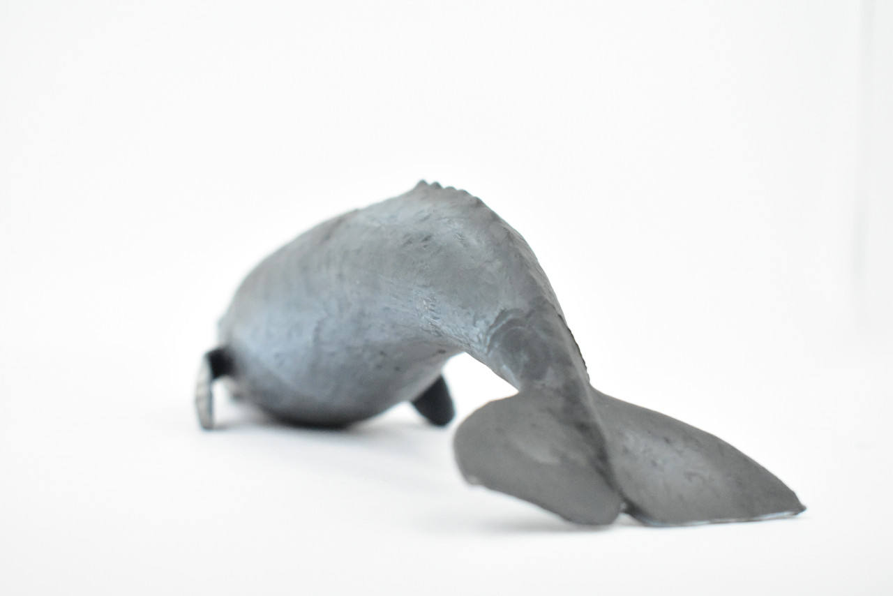 Whale, Grey Whale, Museum Quality, Hand Painted, Rubber Marine Mammal, Realistic Toy Figure, Model, Replica, Kids, Educational, Gift,      10"     CH392 BB146