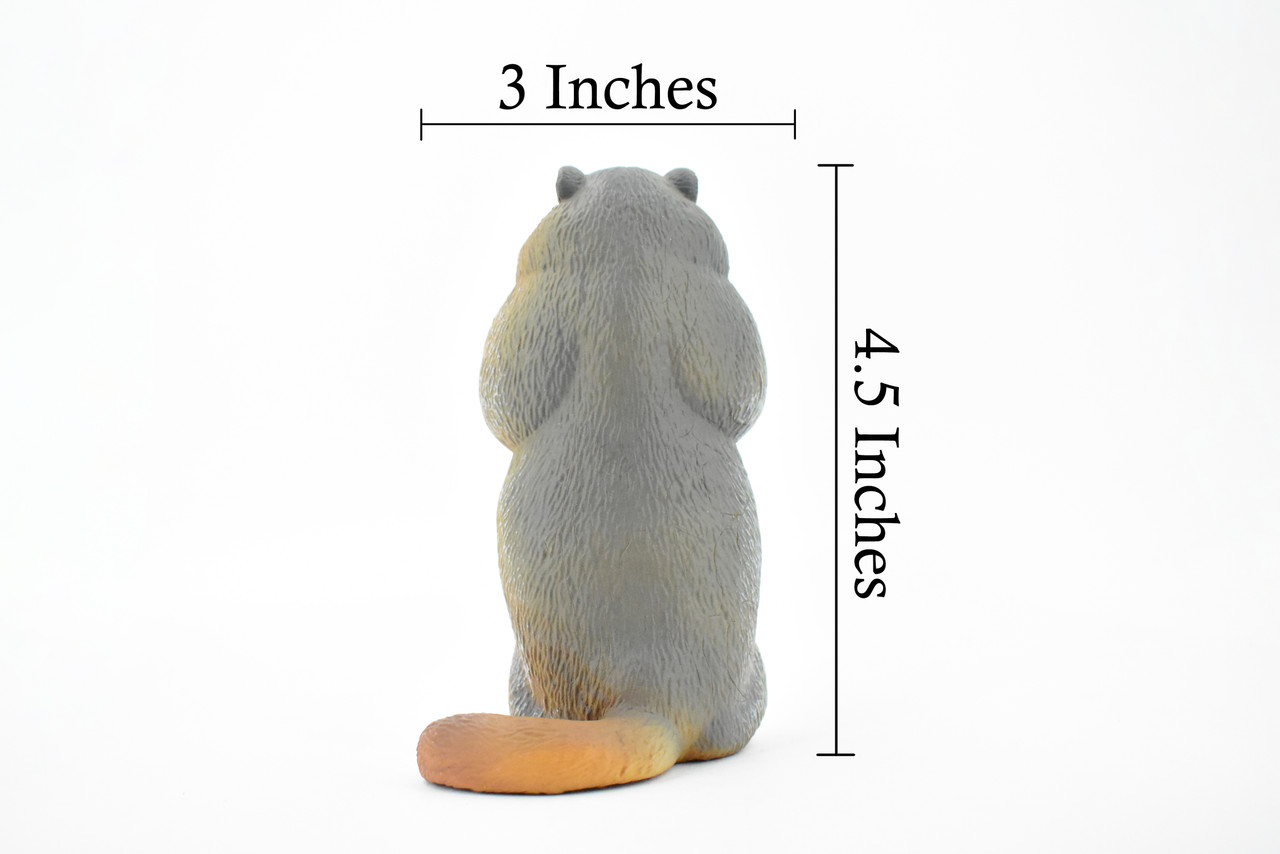 Marmot, Ground Squirrels, Rodent, Museum Quality, Hand Painted, Rubber Mammal, Realistic Toy Figure, Replica, Kids, Educational, Gift,     4 1/2"    CH393 BB146