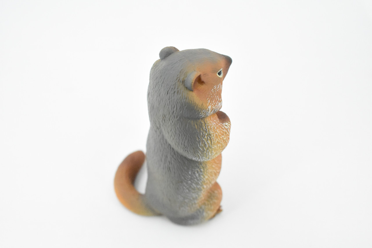 Marmot, Ground Squirrels, Rodent, Museum Quality, Hand Painted, Rubber Mammal, Realistic Toy Figure, Replica, Kids, Educational,  4 1/2 Inches. 