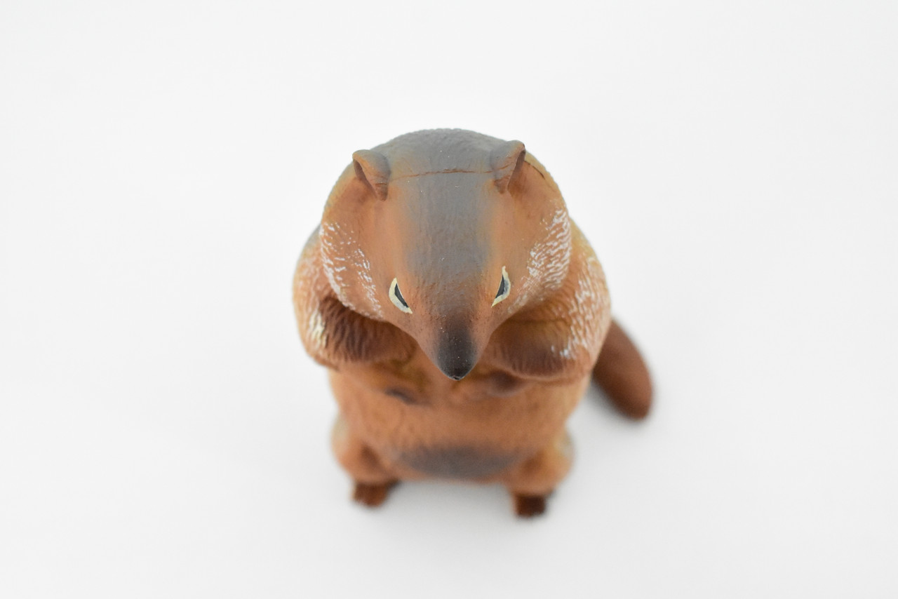 Marmot, Ground Squirrels, Rodent, Museum Quality, Hand Painted, Rubber Mammal, Realistic Toy Figure, Replica, Kids, Educational, Gift,     4 1/2"    CH393 BB146