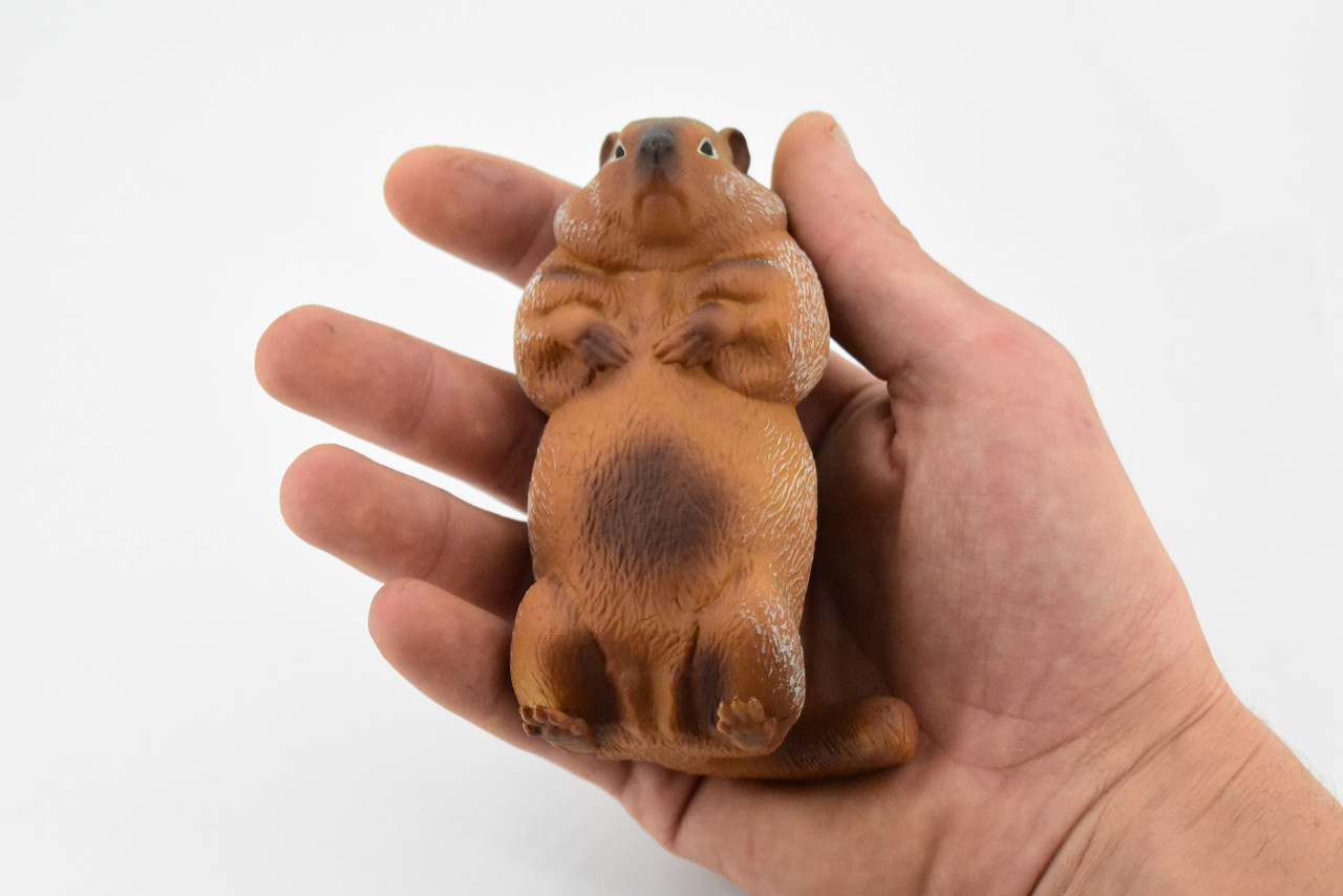 Marmot, Ground Squirrels, Rodent, Museum Quality, Hand Painted, Rubber Mammal, Realistic Toy Figure, Replica, Kids, Educational,  4 1/2 Inches. 