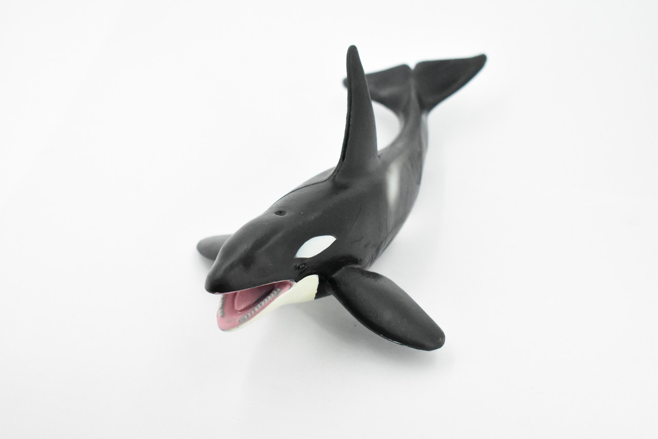Orca, Killer Whale, Marine Mammal, Museum Quality, Hand Painted, Educational, Rubber Animal, Realistic, Diorama Model, Toy Figure, Kids,  8 Inches. 