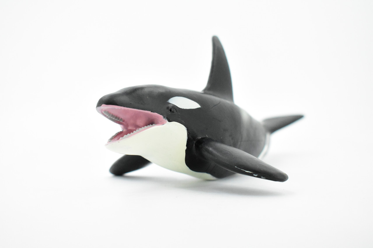 Orca, Killer Whale, Marine Mammal, Museum Quality, Hand Painted, Educational, Rubber Animal, Realistic, Diorama Model, Toy Figure, Kids,  8 Inches. 