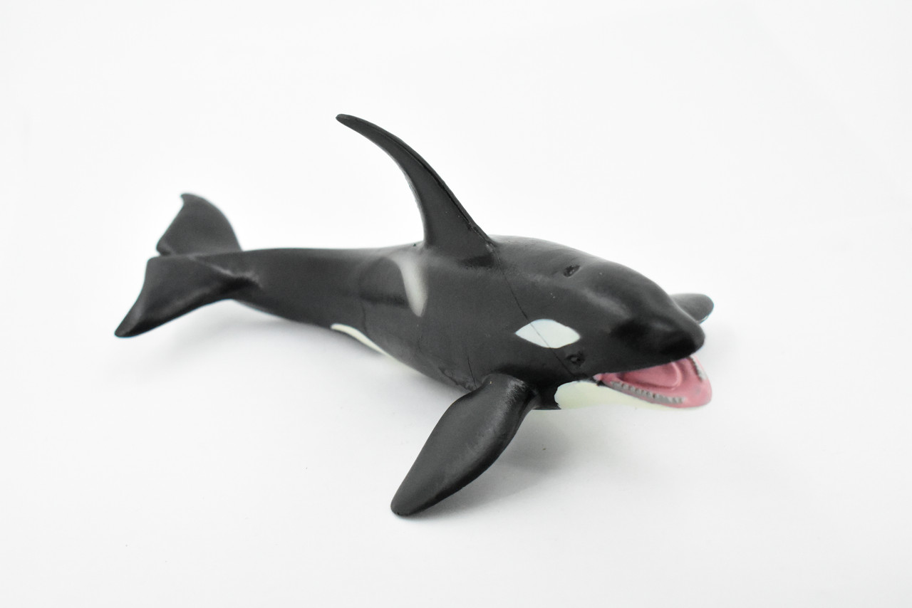 Whale, Orca, Killer Whale, Marine Mammal, Museum Quality, Hand Painted, Rubber Animal, Realistic Toy Figure, Model, Educational, Gift,       8"     CH394 BB147