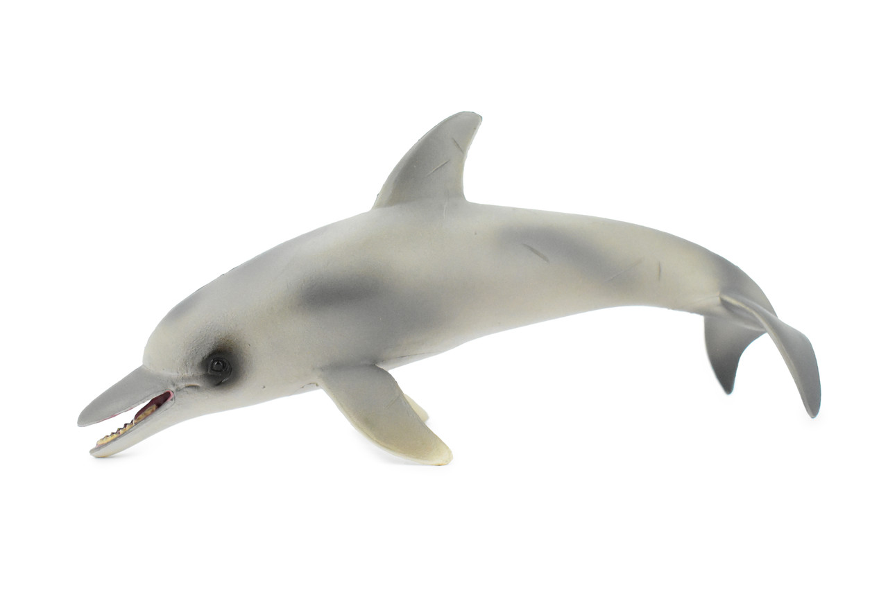 Dolphin, Porpoise, Marine Mammal, Museum Quality, Hand Painted, Realistic Toy Figure, Model, Educational, Gift,       8"     CH395 BB147