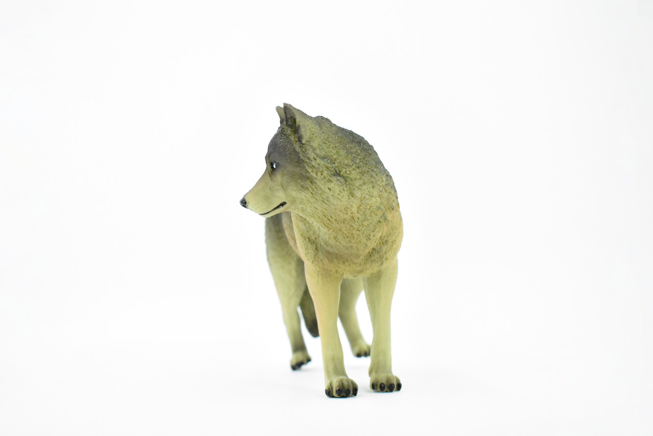 Wolf, Black and Gray, Timber Wolf, Museum Quality, Educational, Rubber Animal, Hand Painted, Realistic, Diorama Model, Toy, Kids,  7 Inches,