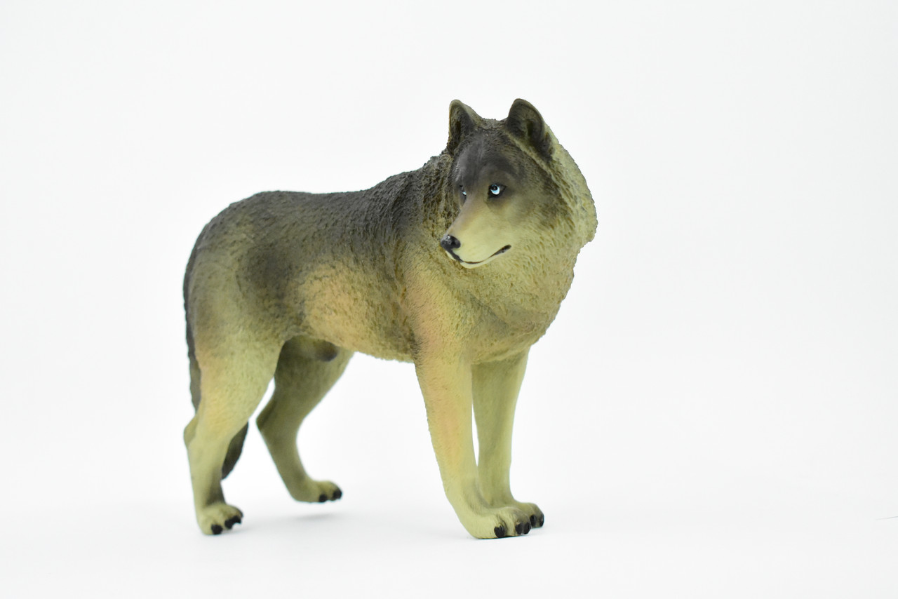 Wolf, Black and Gray, Timber Wolf, Museum Quality, Educational, Rubber Animal, Hand Painted, Realistic, Diorama Model, Toy, Kids,  7 Inches,