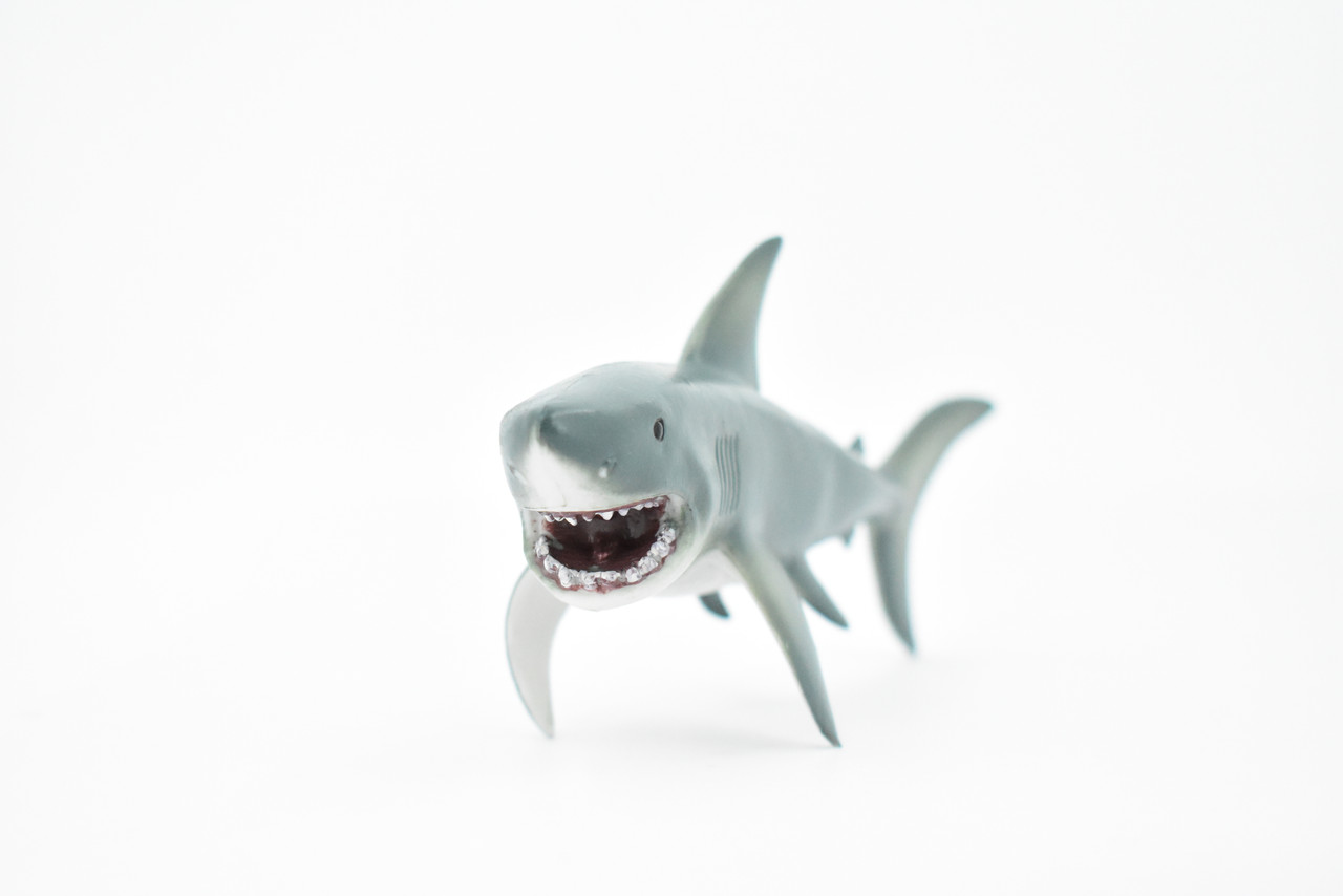 Shark, Megalodon, Big Tooth Shark, Museum Quality, Rubber Fish, Hand Painted, Realistic Toy Figure, Model, Replica, Kids, Educational, Gift,   8"    CH398 BB151