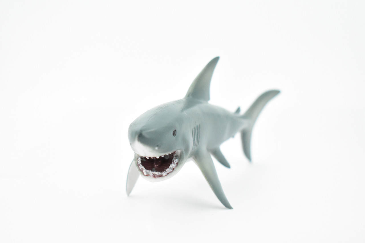 Megalodon Shark, Big Tooth Shark, Museum Quality, Hand Painted, Educational, Rubber Fish, Diorama Model, Replica, Realistic Toy Figure, Kids,  9 Inches.