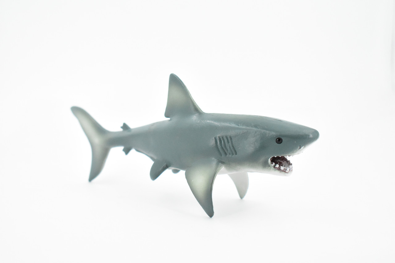 Megalodon Shark, Big Tooth Shark, Museum Quality, Hand Painted, Educational, Rubber Fish, Diorama Model, Replica, Realistic Toy Figure, Kids,  9 Inches.