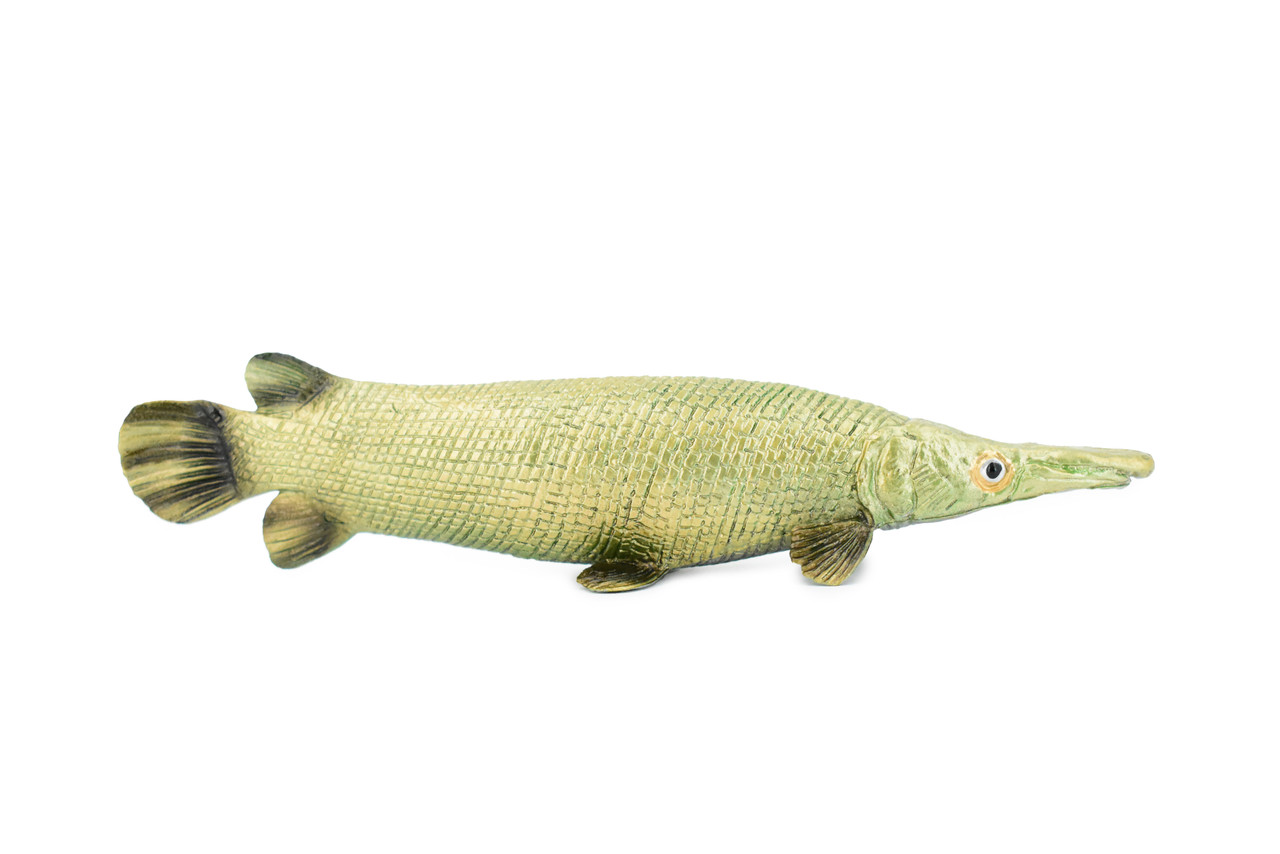 Fish, Aligator Gar, Museum Quality, Hand Painted, Rubber Fish, Realistic Toy Figure, Model, Replica, Kids, Educational, Gift,    6"     CH465 BB151