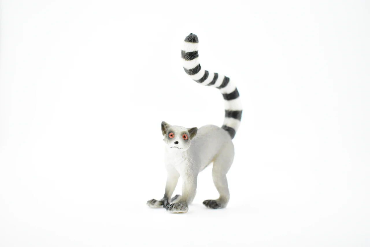 Ring-tailed Lemur, Madagascar, Museum Quality, Hand Painted, Rubber Primate, Realistic Toy Figure, Diorama Model, Replica, Kids, Educational,  3 Inches. 