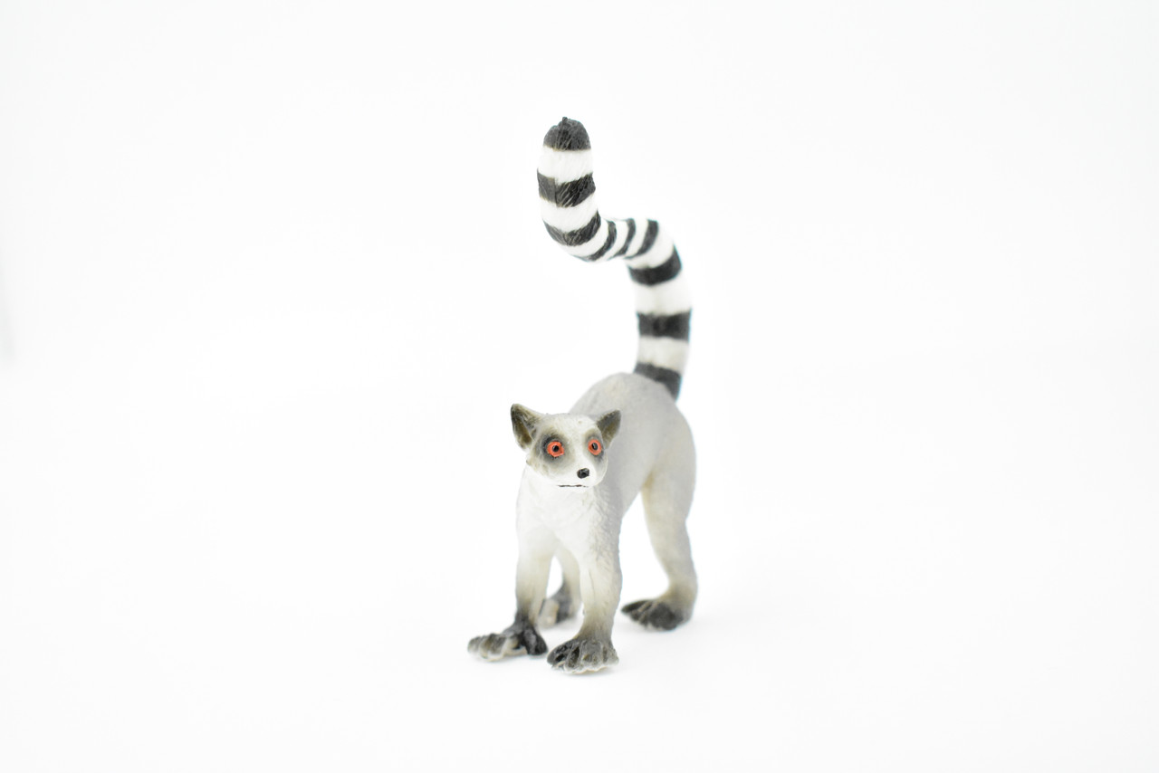Ring-tailed Lemur, Madagascar, Museum Quality, Hand Painted, Rubber Primate, Realistic Toy Figure, Diorama Model, Replica, Kids, Educational,  3 Inches. 