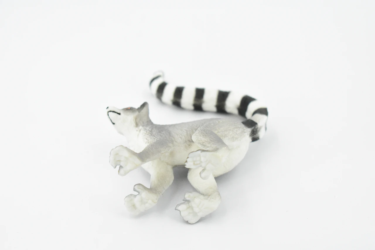 Ring-tailed Lemur, Madagascar, Museum Quality, Hand Painted, Rubber Primate, Realistic Toy Figure, Diorama Model, Replica, Kids, Educational,  3 Inches. 