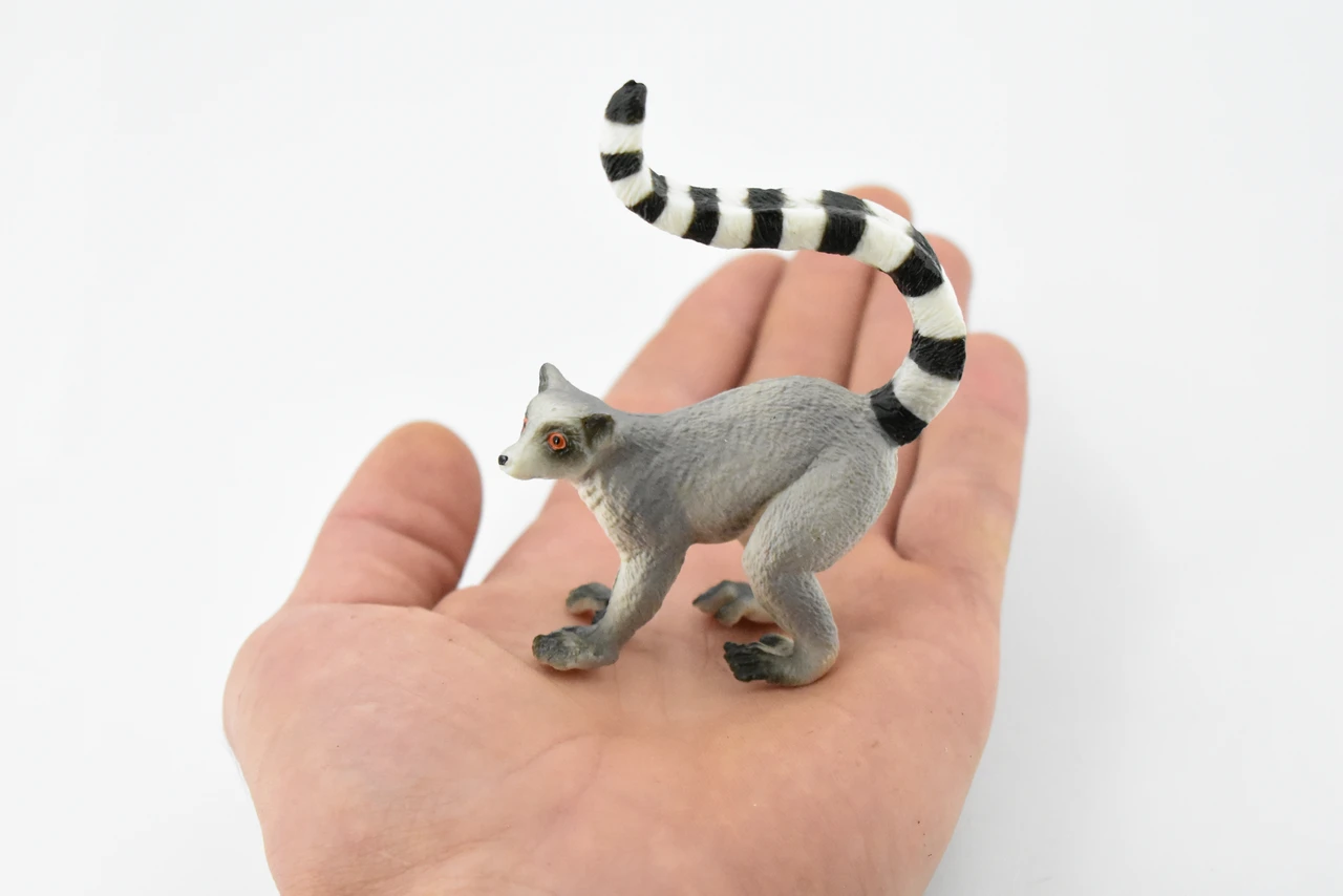 Ring-tailed Lemur, Madagascar, Museum Quality, Hand Painted, Rubber Primate, Realistic Toy Figure, Diorama Model, Replica, Kids, Educational,  3 Inches. 