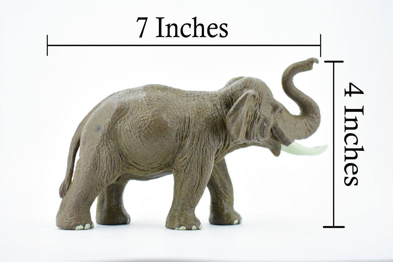 Asian Bull Elephant, Museum Quality, Hand Painted, Educational, Rubber Animal, Realistic Toy Figure, Diorama Model, Kids,  7 Inches.
