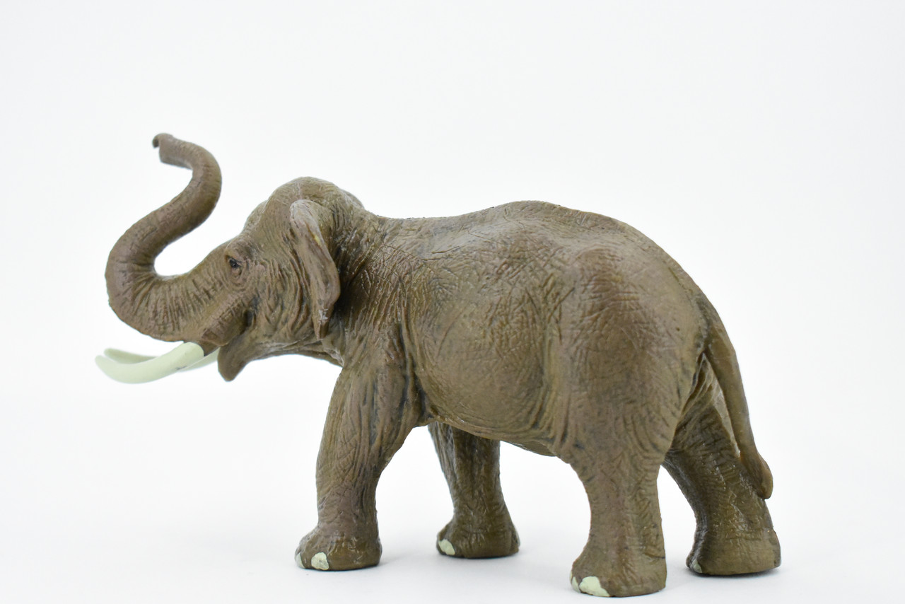 Asian Bull Elephant, Museum Quality, Hand Painted, Educational, Rubber Animal, Realistic Toy Figure, Diorama Model, Kids,  7 Inches.