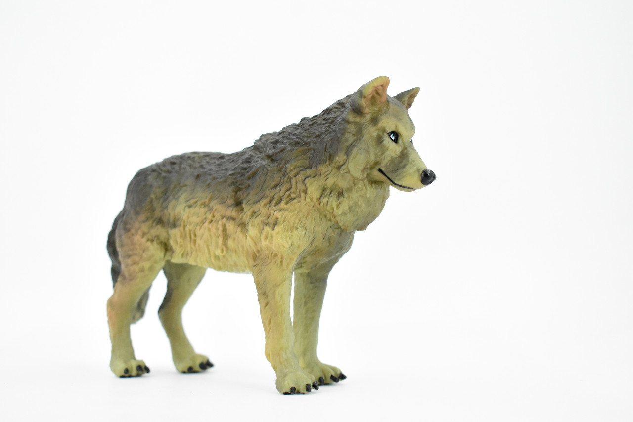 Wolf, Brown and Black, Timber Wolf, Museum Quality, Hand Painted, Rubber Animal, Educational, Realistic, Figure, Lifelike Figurine, Replica,  7 Inches.