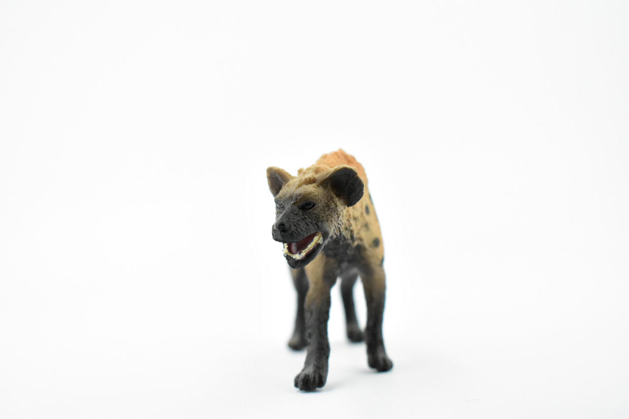 Hyena, Spotted, Hyaena, Museum Quality, Rubber Animal, Hand Painted, Realistic Toy Figure, Model, Replica, Kids, Educational, Gift,      4"    CH471 BB152