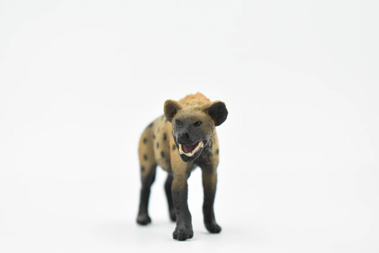Spotted Hyena, Crocuta crocuta, Museum Quality, Hand Painted, Educational, Rubber Animal, Realistic Toy Figure, Diorama Model, Kids,  4 Inches.