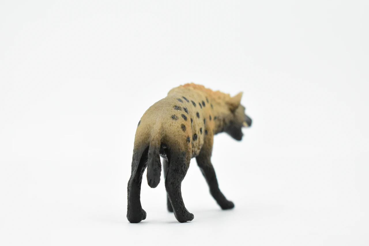 Spotted Hyena, Crocuta crocuta, Museum Quality, Hand Painted, Educational, Rubber Animal, Realistic Toy Figure, Diorama Model, Kids,  4 Inches.