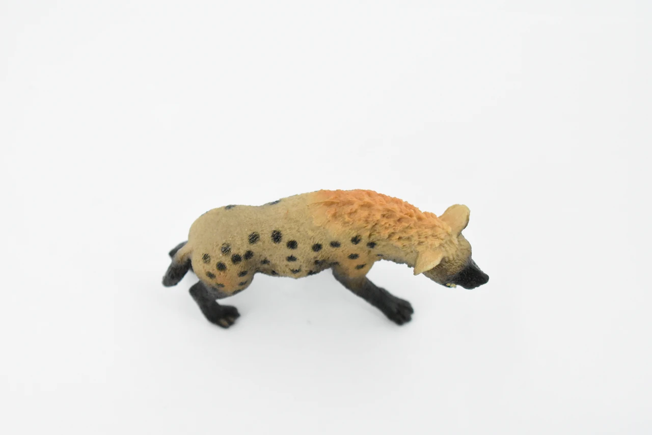 Spotted Hyena, Crocuta crocuta, Museum Quality, Hand Painted, Educational, Rubber Animal, Realistic Toy Figure, Diorama Model, Kids,  4 Inches.