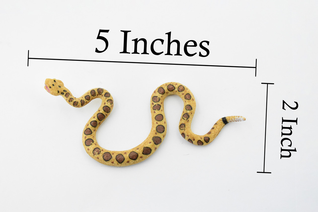 Snake, Rattlesnake, Diamondback, Museum Quality, Rubber Reptile, Hand Painted, Realistic Toy Figure, Model, Replica, Kids, Educational, Gift,      5"    CH472 BB152