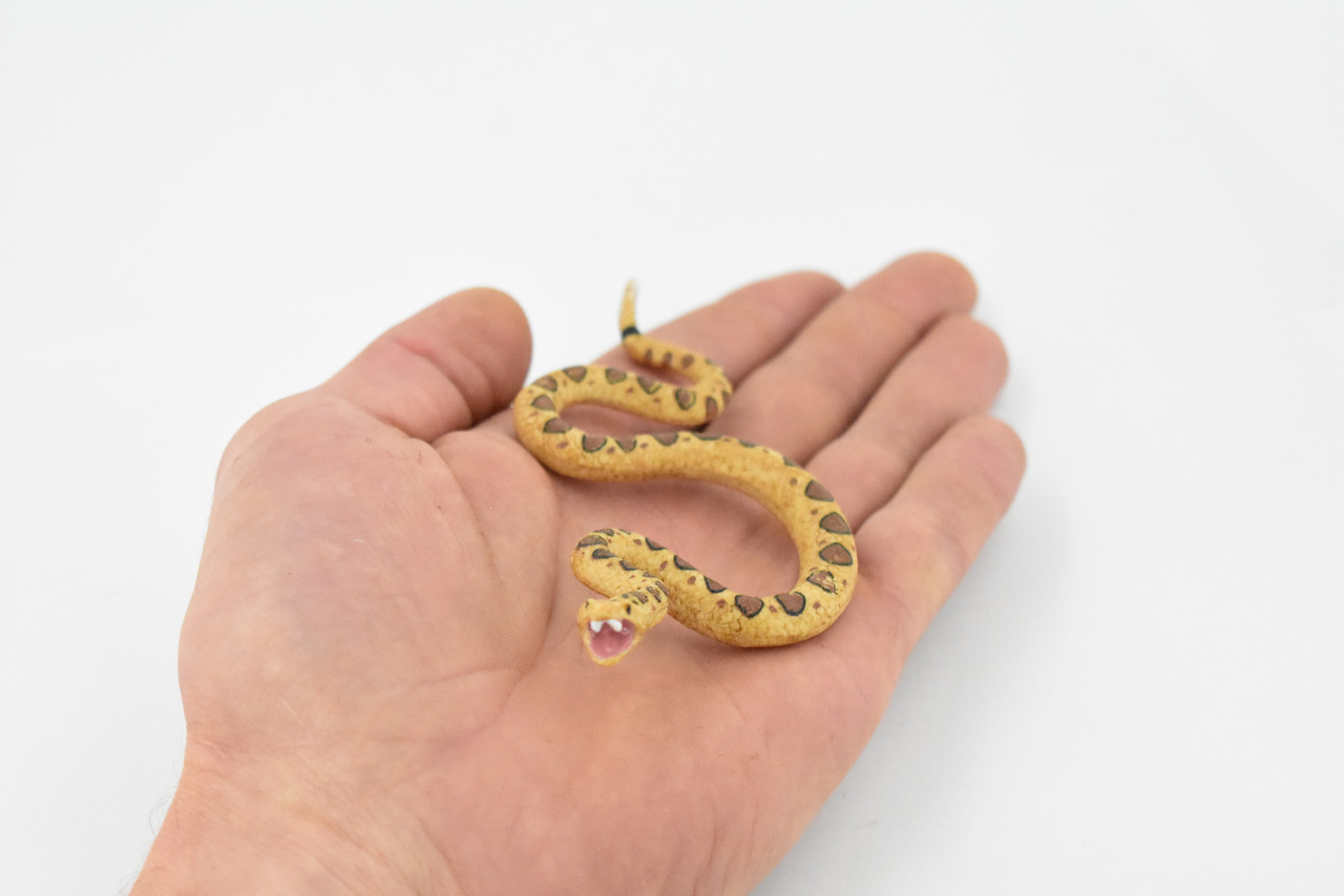 Snake, Rattlesnake, Diamondback, Museum Quality, Rubber Reptile, Hand Painted, Realistic Toy Figure, Model, Replica, Kids, Educational, Gift,      5"    CH472 BB152