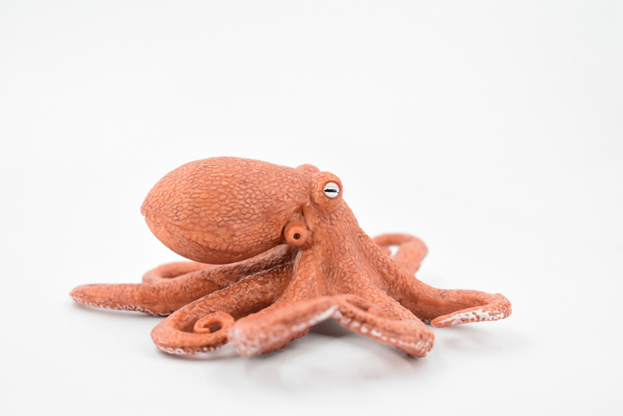 Octopus, Octopodes, Octopoda, Octopi, Ocean, Deep Sea, Rubber Realistic Toy Figure, Model, Replica, Kids, Educational, Gift,     4 1/2"    CH473 BB152