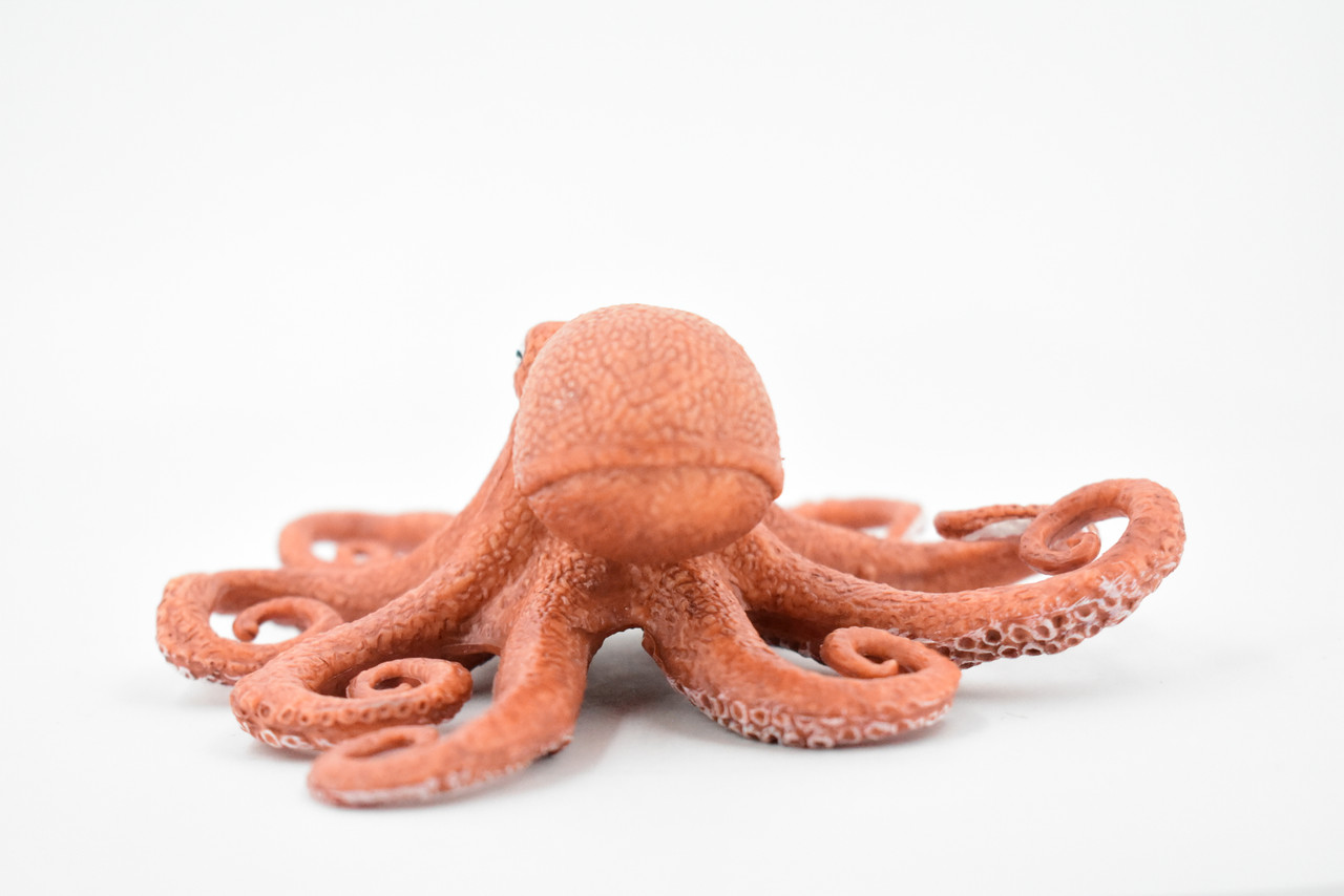 Octopus, Octopodes, Octopoda, Octopi, Ocean, Deep Sea, Rubber Realistic Toy Figure, Model, Replica, Kids, Educational, Gift,     4 1/2"    CH473 BB152