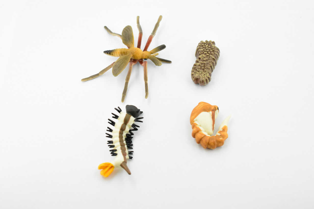 Mosquito Life Cycle, 4 Stages, Red, Very Nice Design, Educational, Hand Painted, Rubber Insect,  Diorama Model, Realistic, Kids, Toys,  2 1/2 Inches.