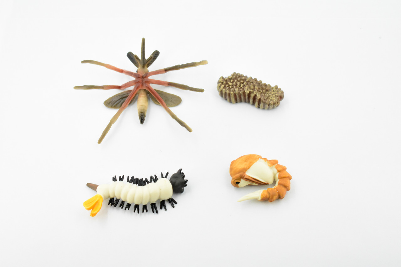 Mosquito Life Cycle, 4 Stages, Red, Educational, Museum Quality, Hand Painted, Rubber Insect, Figure, Model, Realistic, Kids, Toys,  3  Inches. 