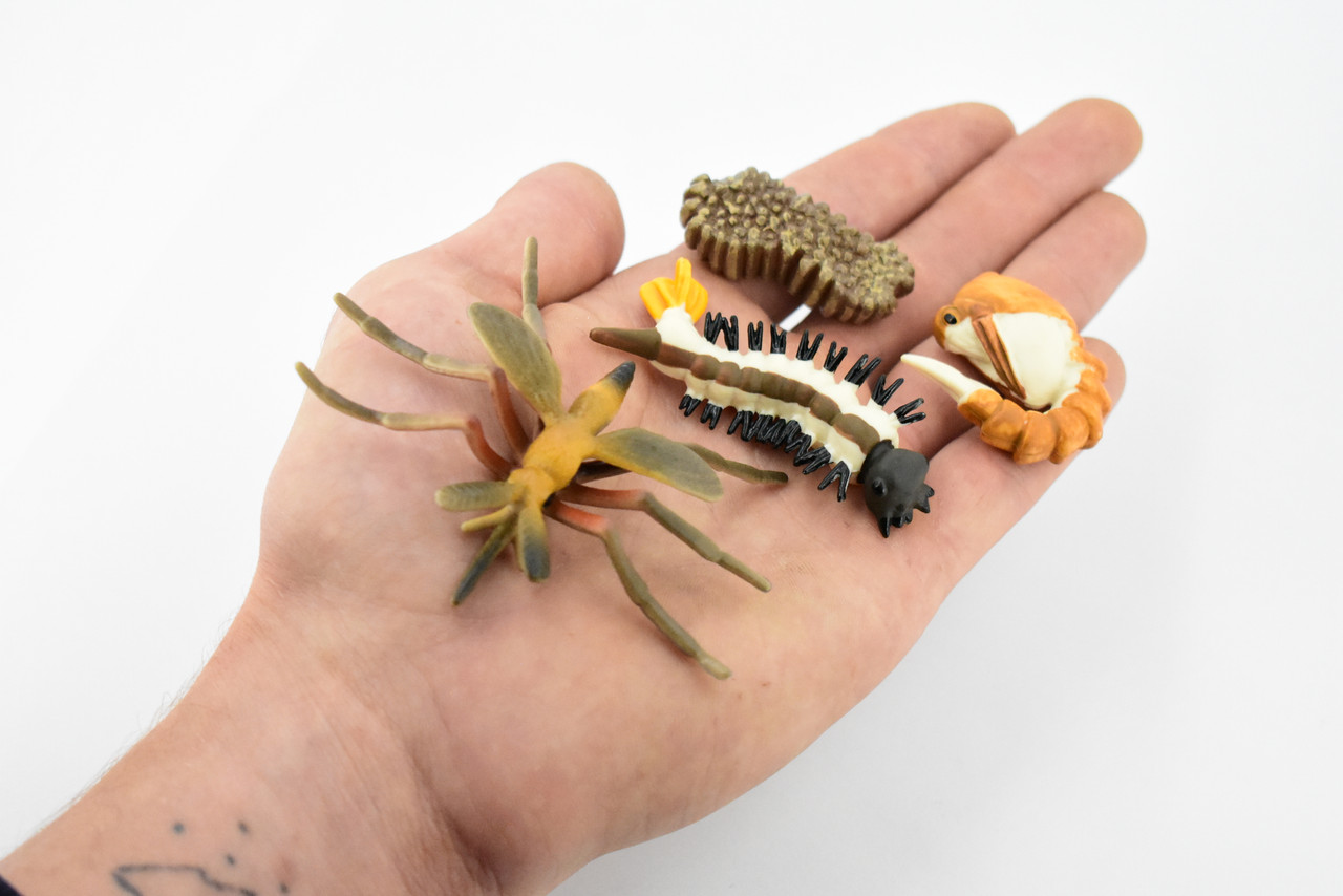 Mosquito Life Cycle, 4 Stages, Red, Very Nice Design, Educational, Hand Painted, Rubber Insect,  Diorama Model, Realistic, Kids, Toys,  2 1/2 Inches.