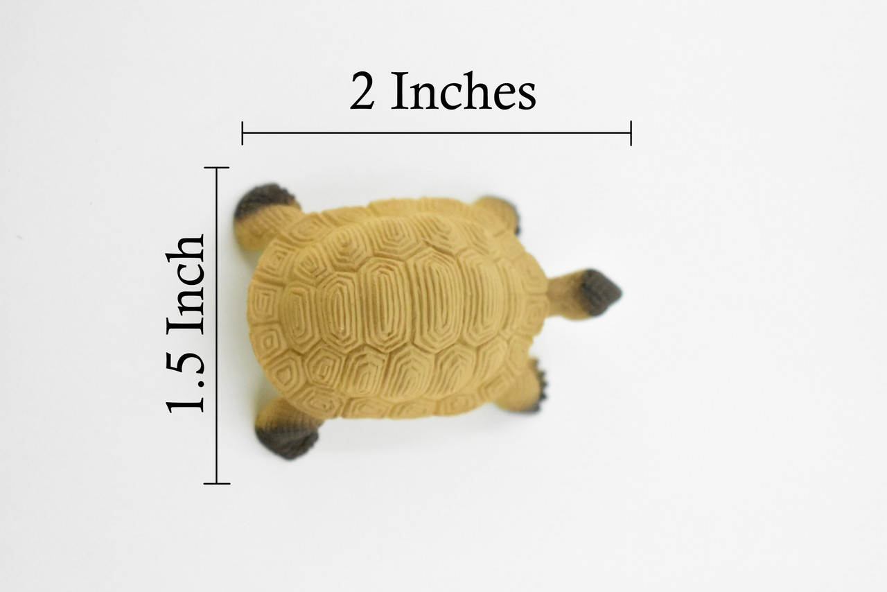 Tortoise, Galápagos tortoise, Turtle, Plastic Reptile, Educational, Realistic, Hand Painted, Figure, Lifelike Model, Figurine, Replica, Gift,     2"    F4441 B55