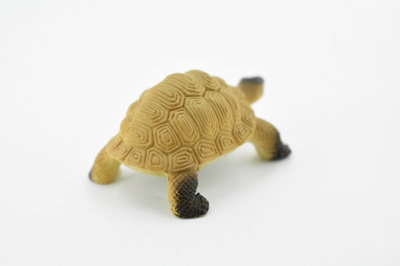 Tortoise, Galápagos tortoise, Turtle, Plastic Reptile, Educational, Realistic, Hand Painted, Figure, Lifelike Model, Figurine, Replica, Gift,     2"    F4441 B55