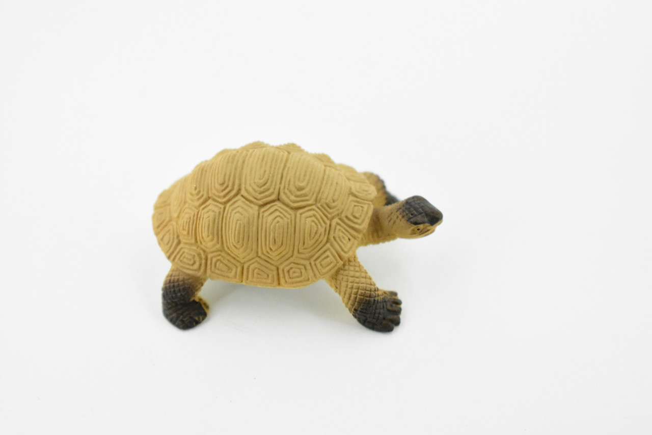 Tortoise, Galápagos tortoise, Turtle, Plastic Reptile, Educational, Realistic, Hand Painted, Figure, Lifelike Model, Figurine, Replica, Gift,     2"    F4441 B55