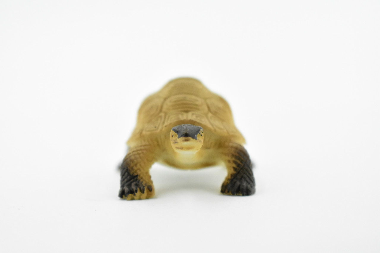 Tortoise, Galápagos tortoise, Turtle, Plastic Reptile, Educational, Realistic, Hand Painted, Figure, Lifelike Model, Figurine, Replica, Gift,     2"    F4441 B55