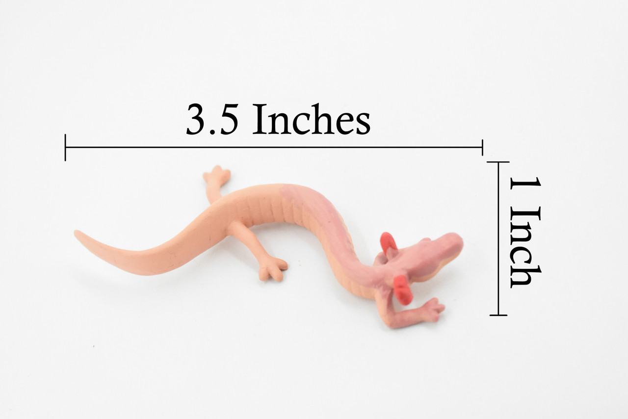 Salamander, Cave, Rubber Amphibian, Educational, Realistic, Hand Painted, Figure, Lifelike Model, Figurine, Replica, Gift,     3 1/2"      F769 B625