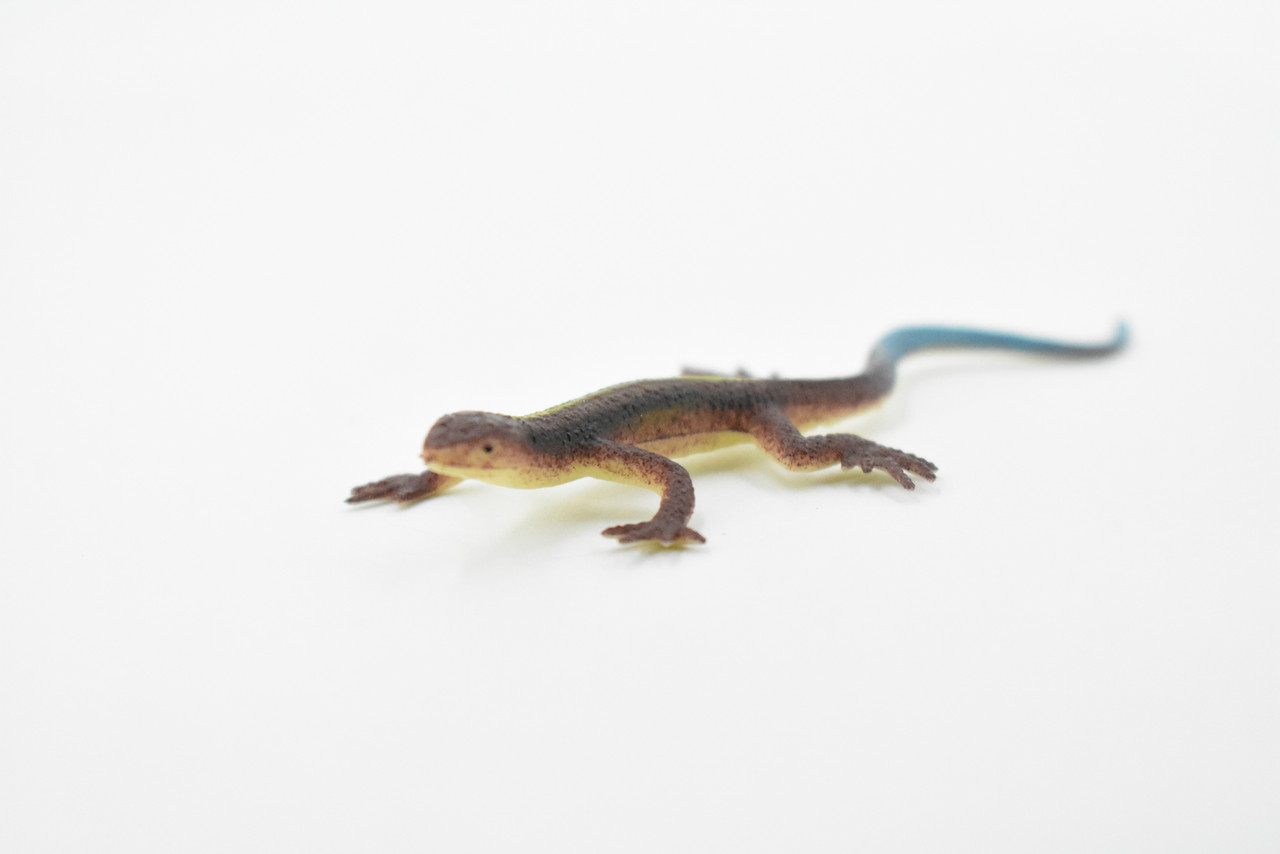 Lizard, Dark Brown with Blue Tail, Rubber Reptile Toy, Realistic Figure, Model, Replica, Kids, Educational, Gift,    3"     F6064 B380