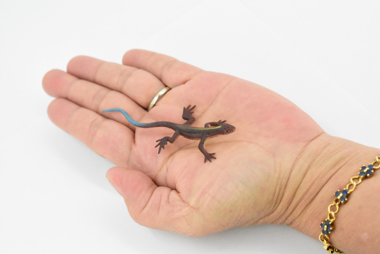 Lizard, Dark Brown with Blue Tail, Rubber Reptile Toy, Realistic Figure, Model, Replica, Kids, Educational, Gift,    3"     F6064 B380