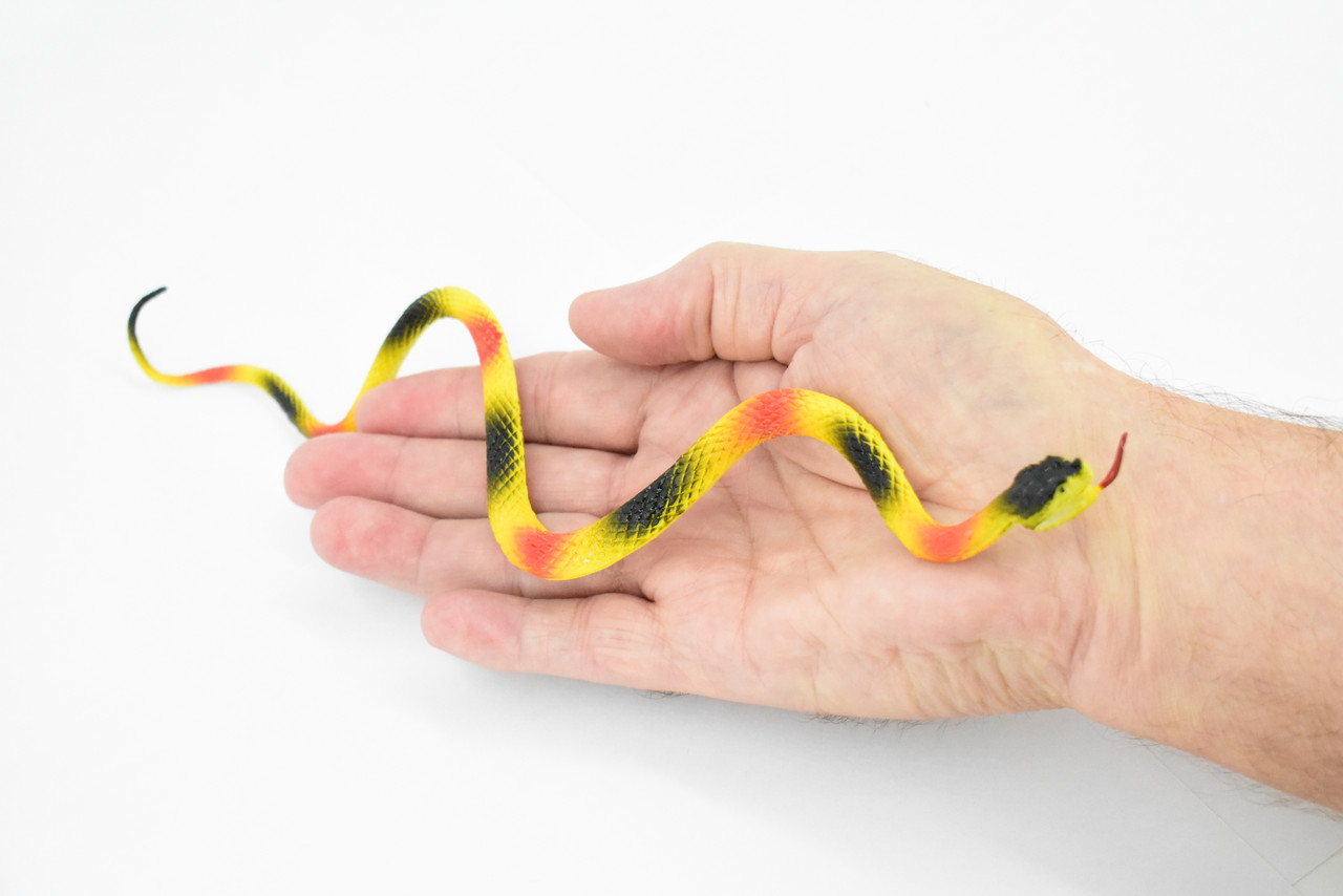 Snake, Coral snake, Rubber Reptile, Educational, Realistic Hand Painted, Figure, Lifelike Model, Figurine, Replica, Gift,      10"       F2082 B142