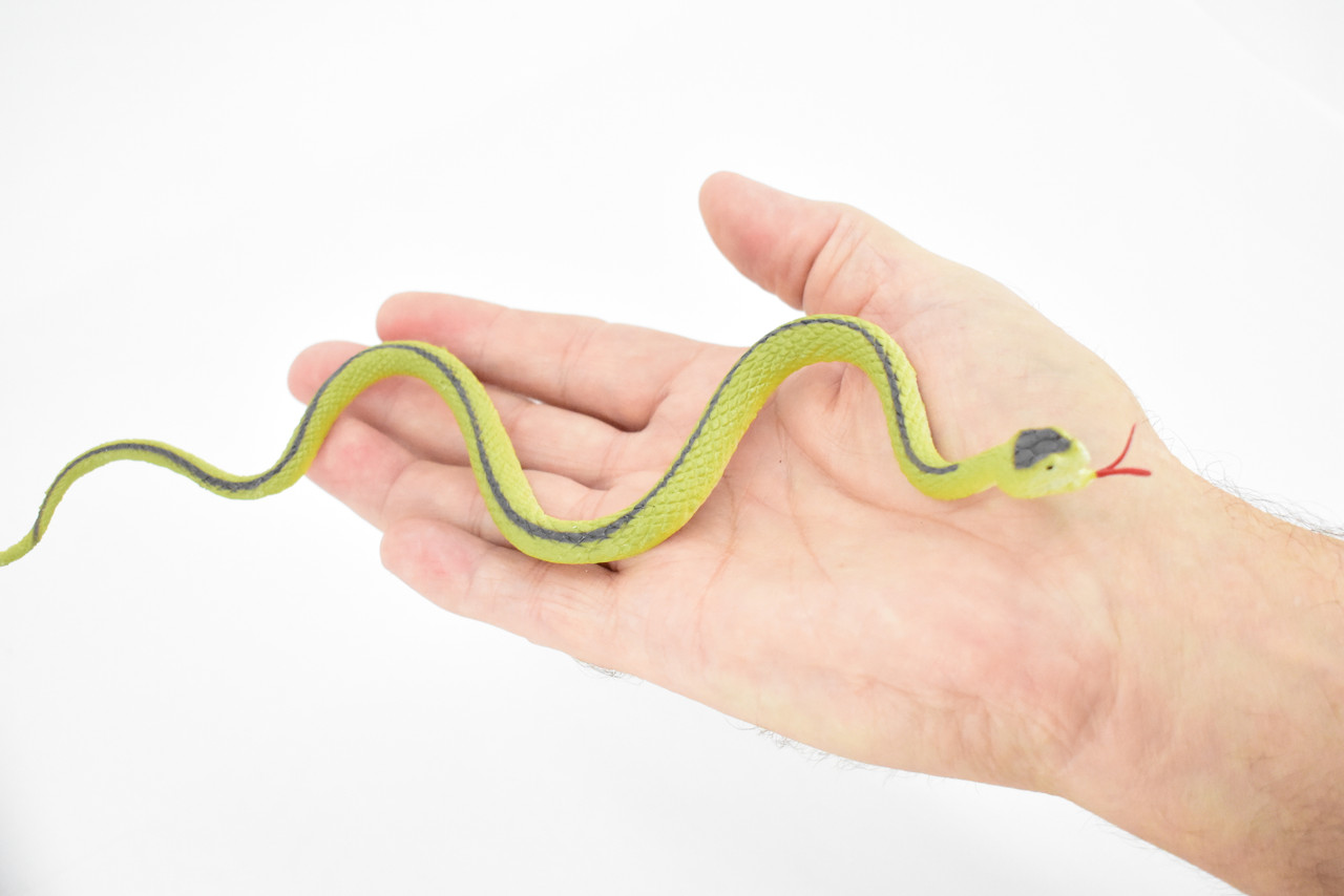 Snake, Garter Snake, Green, Rubber Reptile, Educational, Realistic Hand Painted, Figure, Lifelike Model, Figurine, Replica, Gift,      10"       F2083 B142