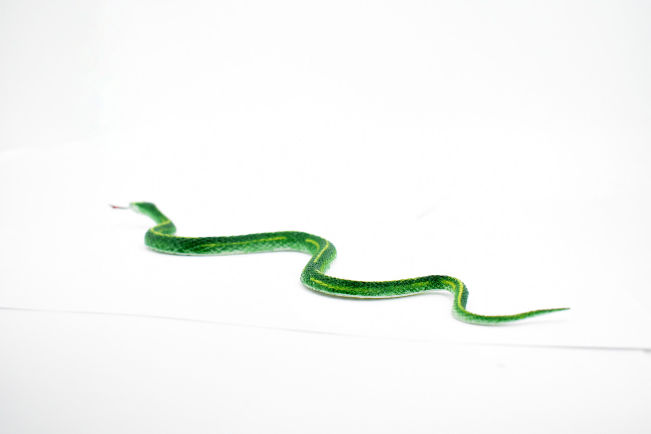 Snake, Garter snake, Green, Rubber Reptile, Educational, Realistic Hand Painted, Figure, Lifelike Model, Figurine, Replica, Gift,      10"       F2087B142