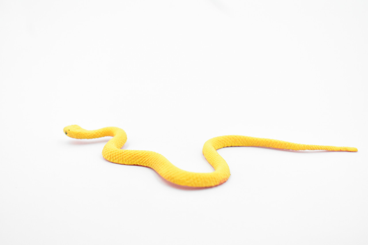 Snake, Yellow, Red Belly, Vine Tree Snake, Rubber Reptile, Educational, Realistic Hand Painted, Figure, Lifelike Model, Figurine, Replica, Gift,       4 1/2"       F2089 B360