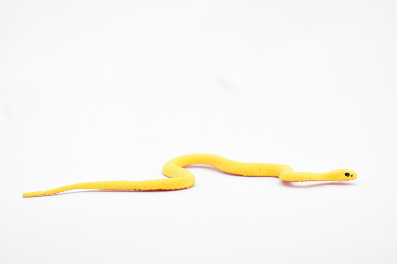 Snake, Yellow, Red Belly, Vine Tree Snake, Rubber Reptile, Educational, Realistic Hand Painted, Figure, Lifelike Model, Figurine, Replica, Gift,       4 1/2"       F2089 B360