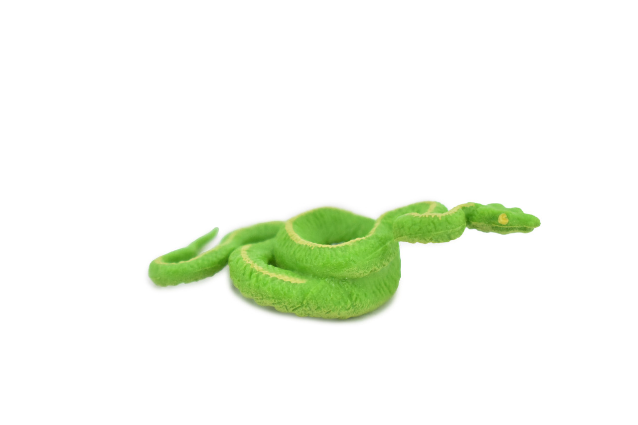 Snake, Green Boa, Coiled, Rubber Reptile, Educational, Realistic Hand Painted, Figure, Lifelike Model, Figurine, Replica, Gift,      2 1/2"    F4477 B213