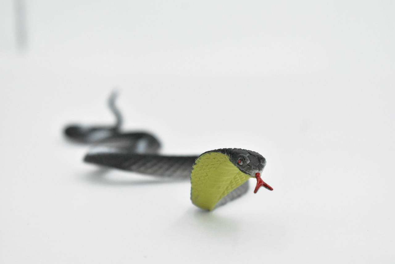 Cobra, Black and White Snake, Rubber Reptile, Educational, Realistic Hand Painted, Figure, Lifelike Model, Figurine, Replica, Gift,      9 Inches     F3594 B363