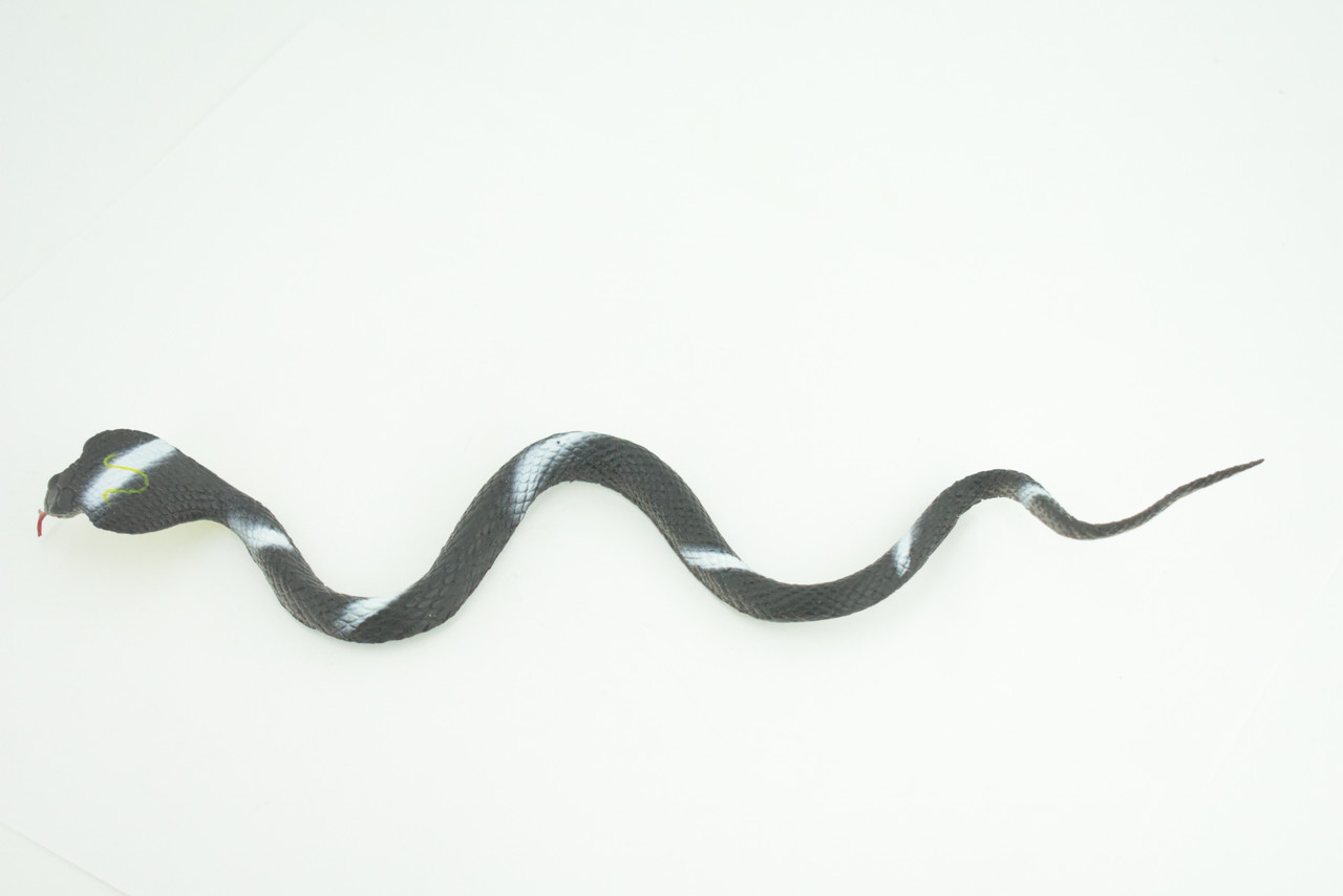 Cobra, Black and White Snake, Rubber Reptile, Educational, Realistic Hand Painted, Figure, Lifelike Model, Figurine, Replica, Gift,      9 Inches     F3594 B363